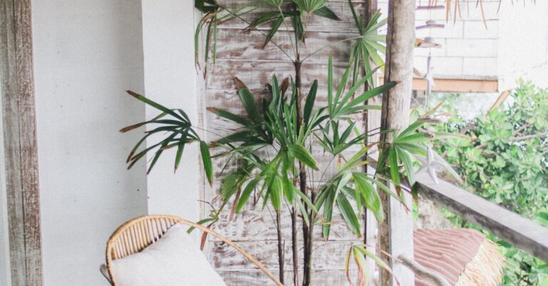 Gartenidylle auch ohne Garten: Innovative Balkon- & Terrassenkonzepte