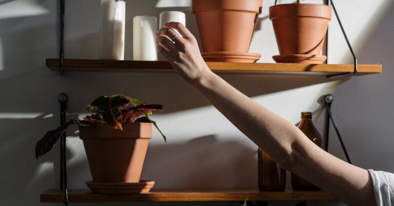 Regalwand, die Luft wäscht: Biofilter-Möbel mit Grauwasser-Option und Smart-Steuerung für Küche & Wohnzimmer